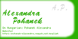 alexandra pohanek business card